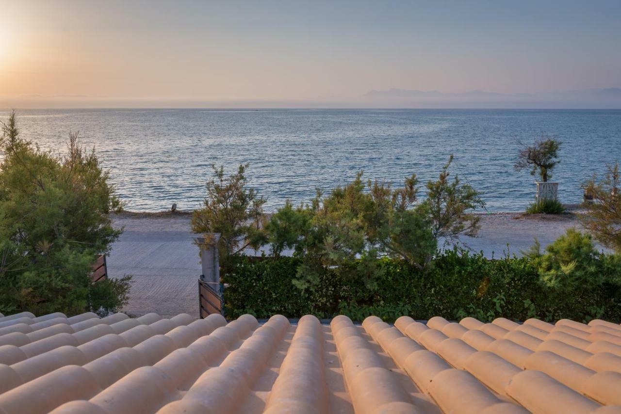 Tamaris Beach House 아카라비 외부 사진