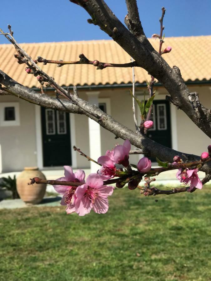 Tamaris Beach House 아카라비 외부 사진